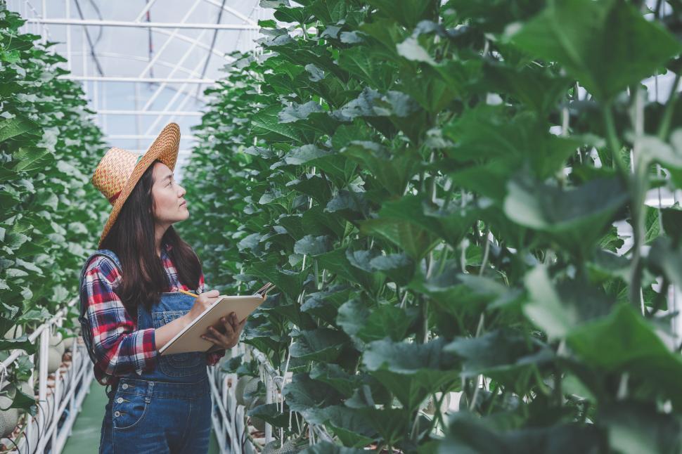 Free Image of Modern agriculture concepts - farmer is going to check the plants 