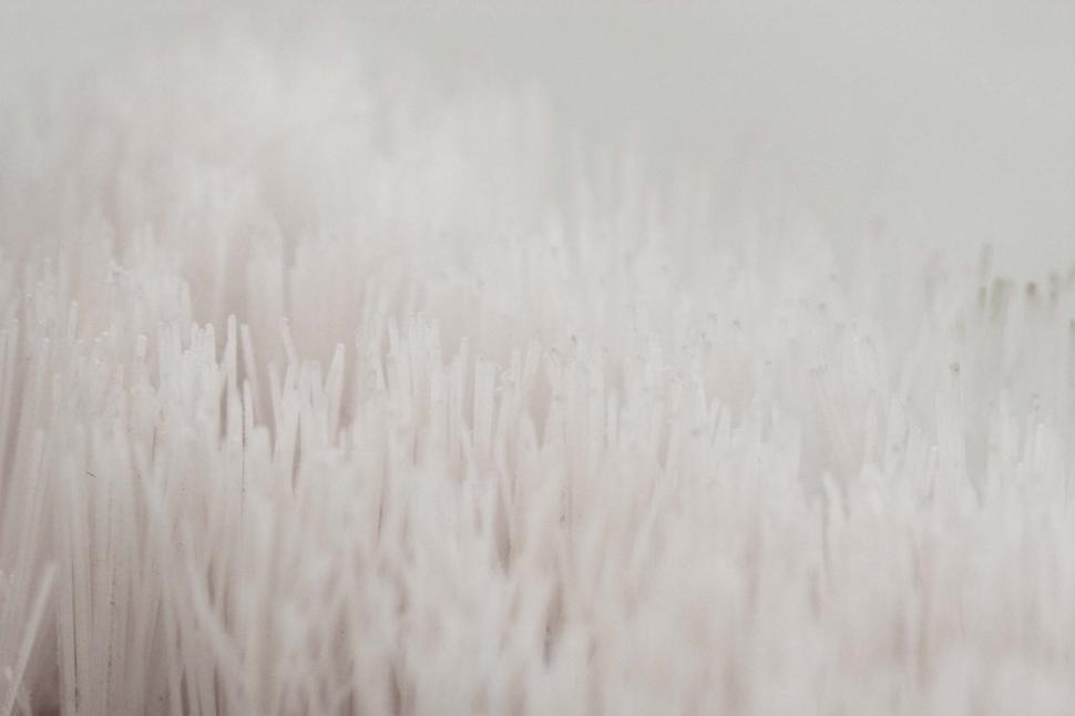 Free Image of White bristle background 