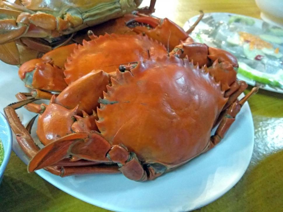 Free Image of Cooked red crab  