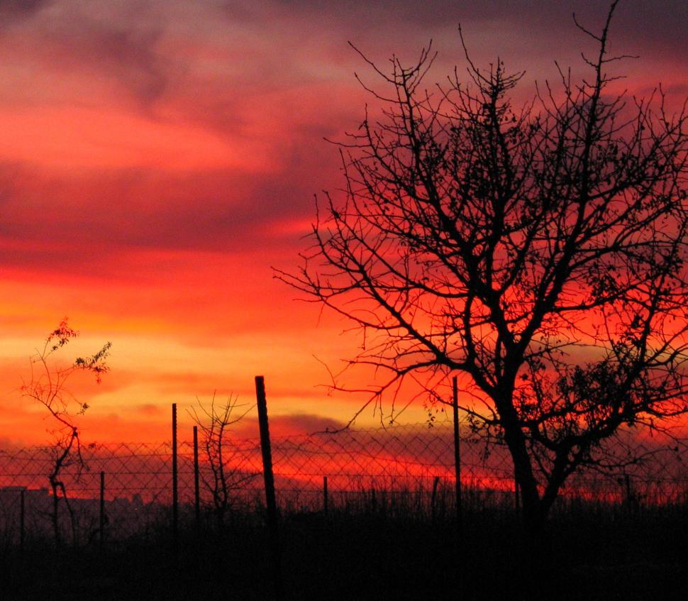 Free Image of Sunset over Mt. Carmel 