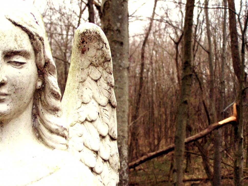 Free Image of Scary Angel 