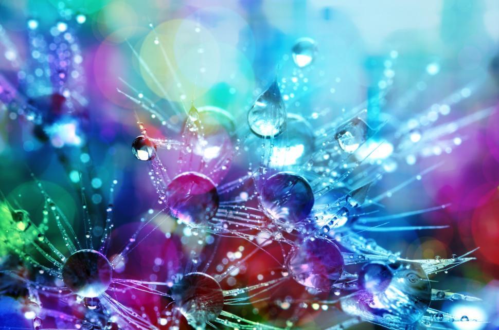 Free Image of Colourful Droplets  