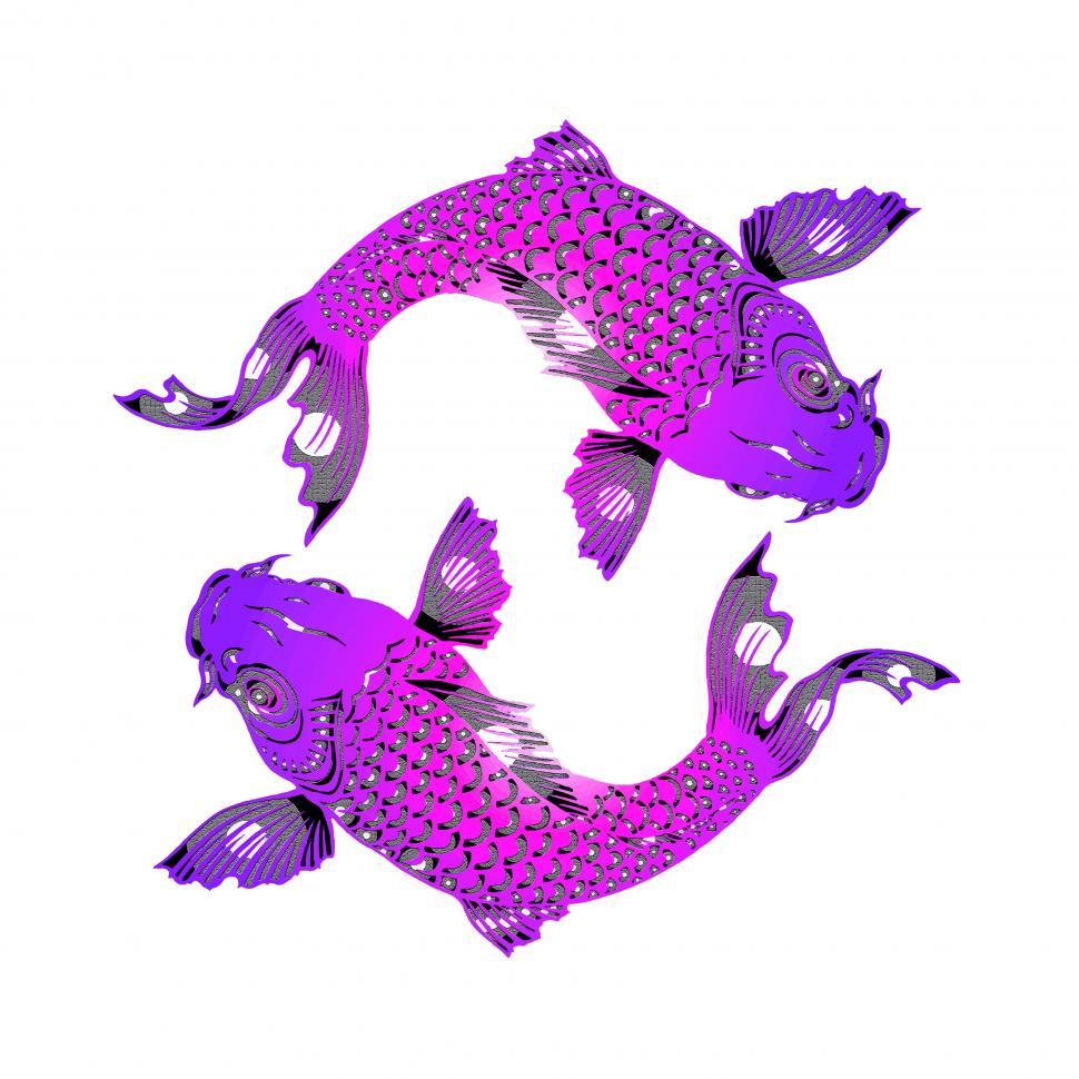 Free Image of Koi Carp  