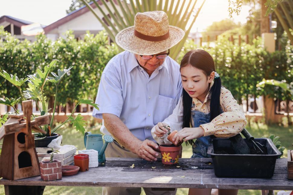 Free Image of Asian retirement grandfather and pretty granddaughter helping pl 