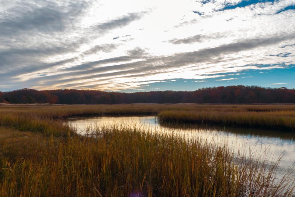 Free Image of Cheesequake Late Afternoon 