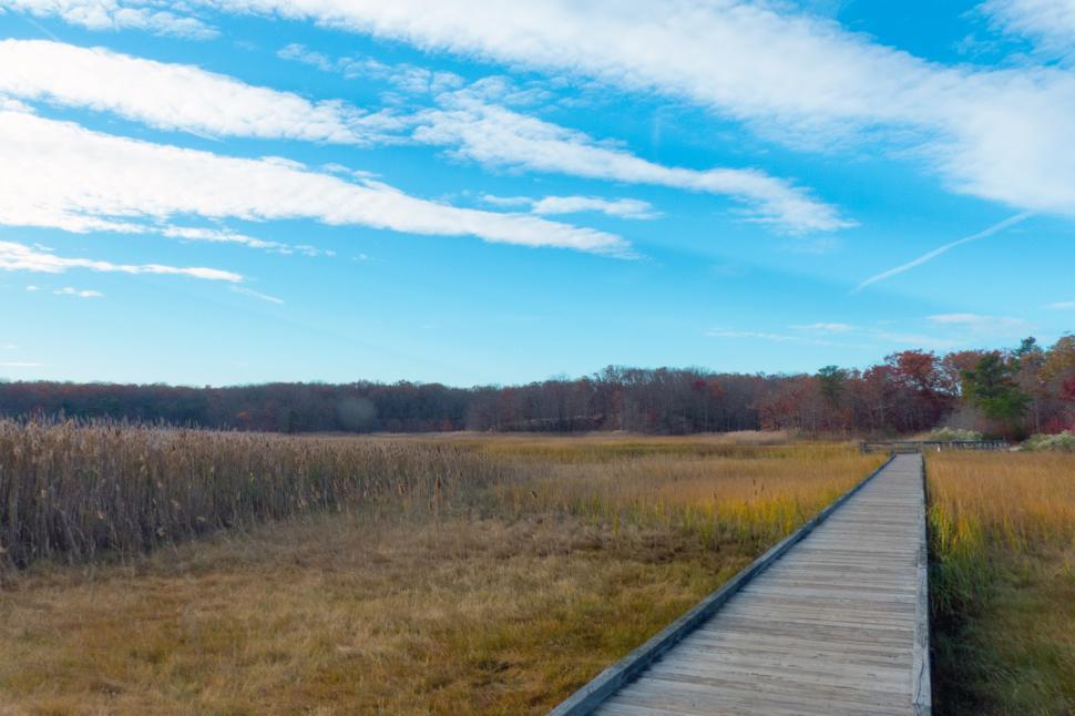 Free Image of Cheesequake Wood Boardwalk 