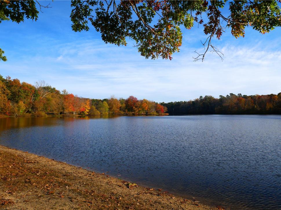 Free Image of Lake In Autumn 