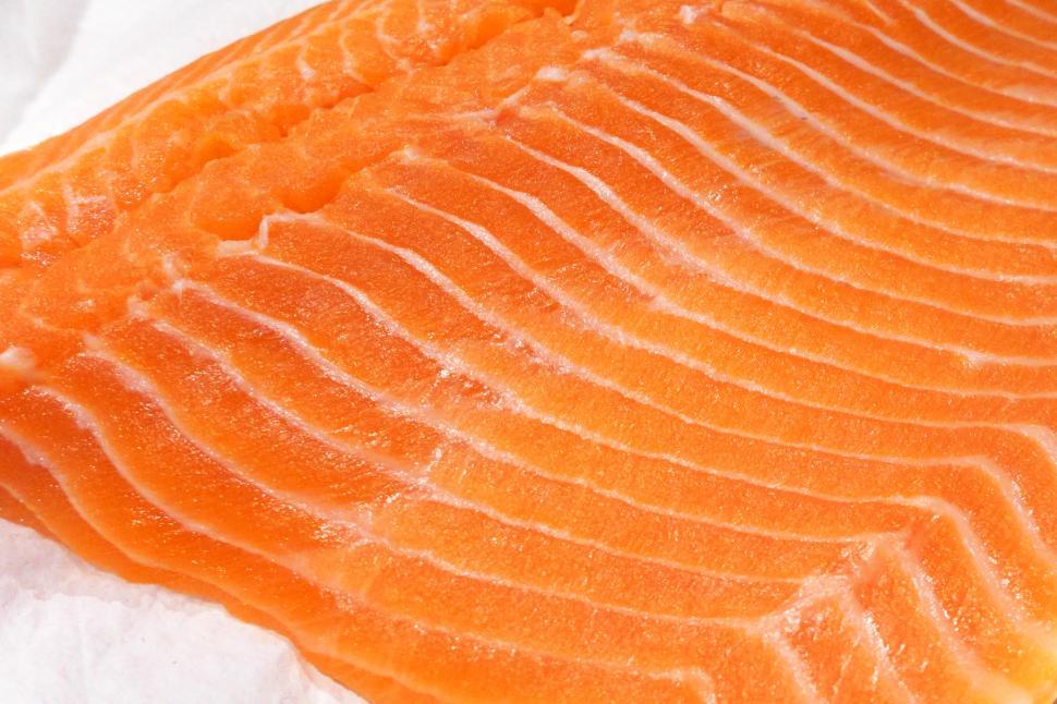 Free Image of Raw Salmon Filet 