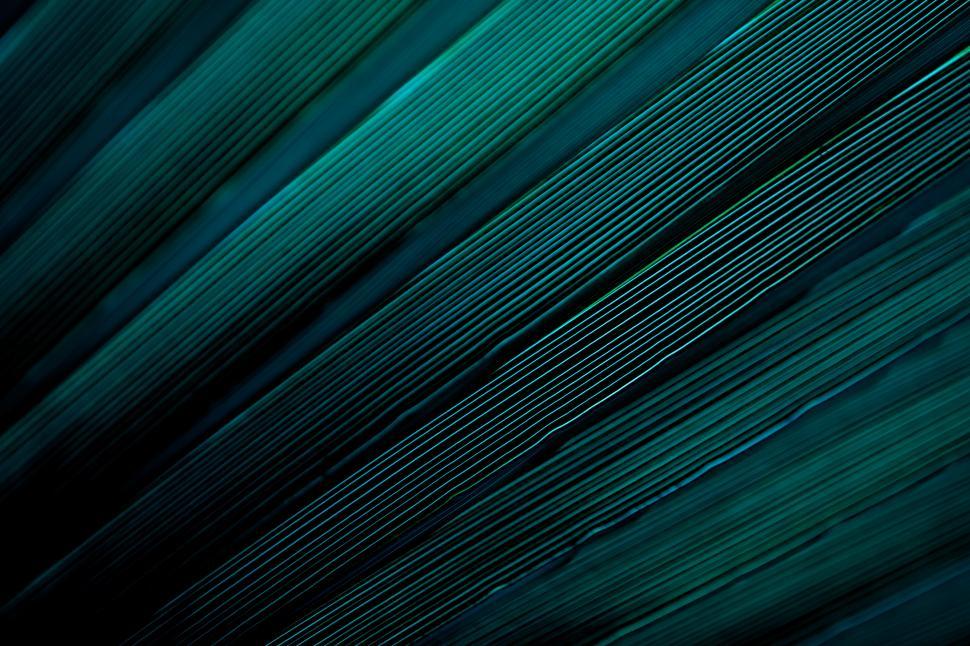 Free Image of green vegetal background texture 