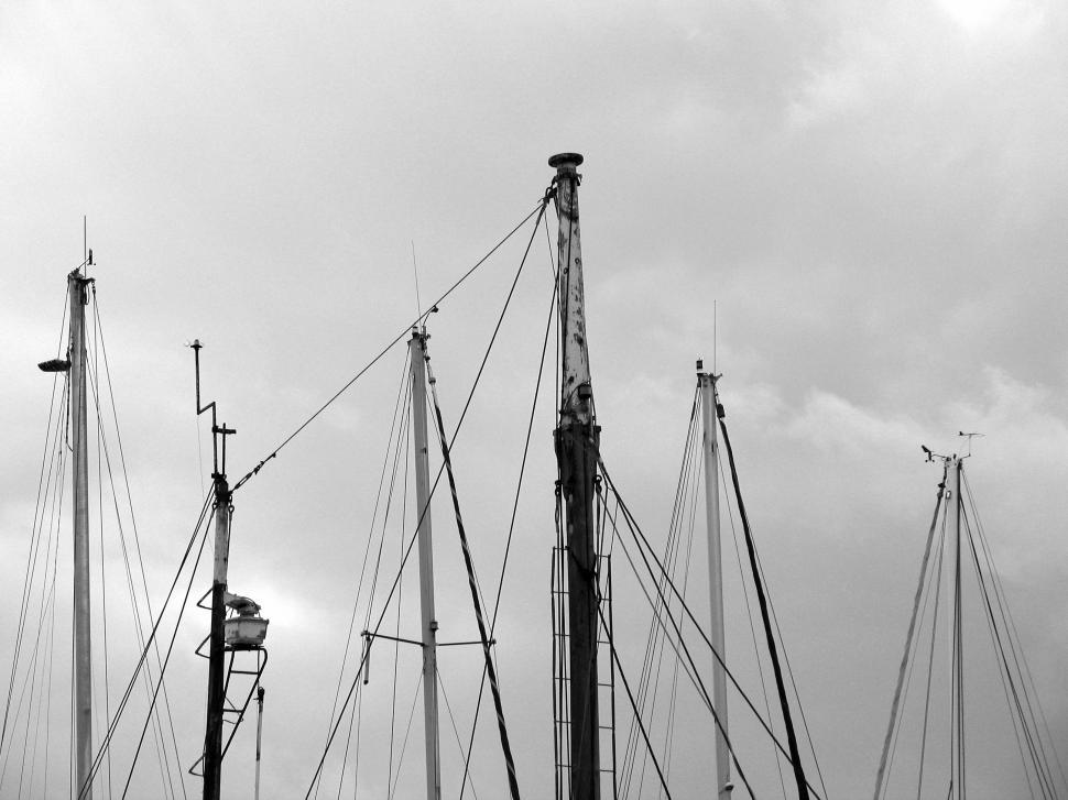 Free Image of masts 