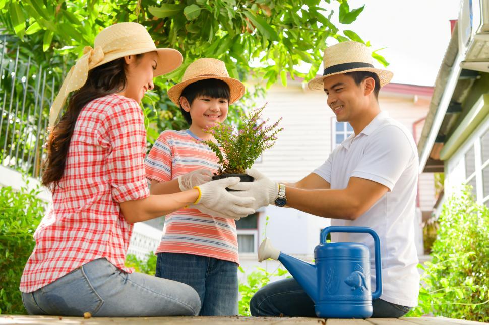 Free Image of Family planting in the back yard 