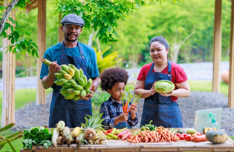 Free Image of Family farm harvest of fruits and vegetables 