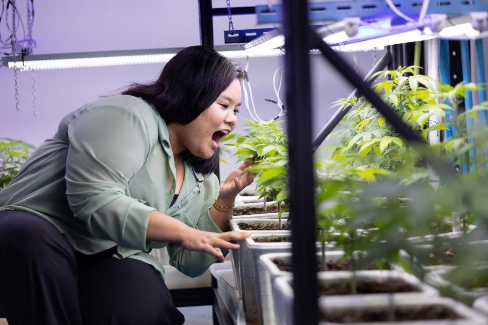 Free Image of Women in cannabis greenhouse farm 