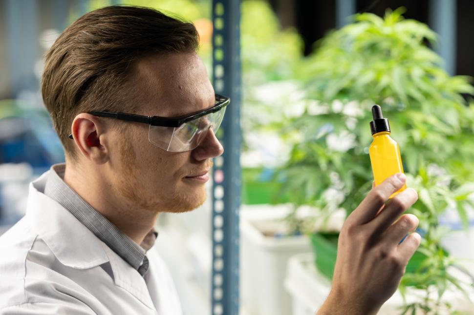 Free Image of Scientist tests cannabis oil  