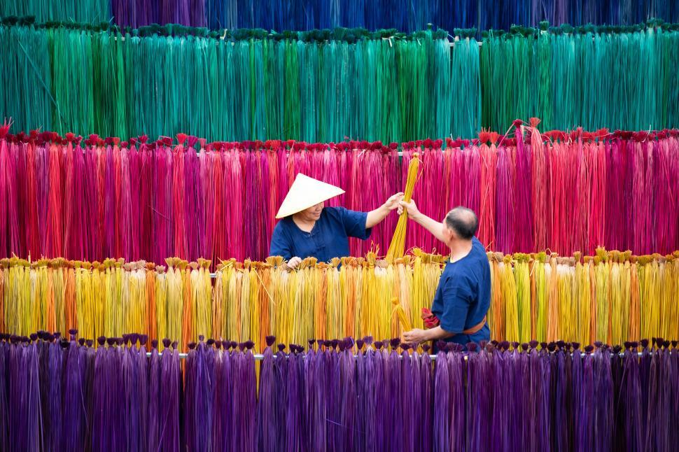 Free Image of Processing flax trees into different colors for weaving 