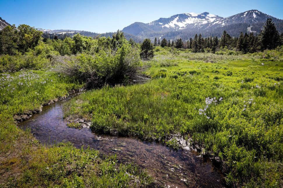 Free Image of Mountain Meadow with Small Strea, 