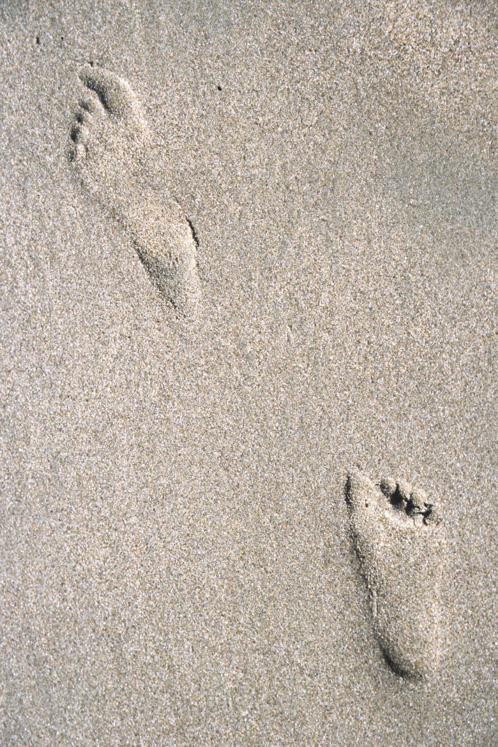 Free Image of Footprints in the sand 