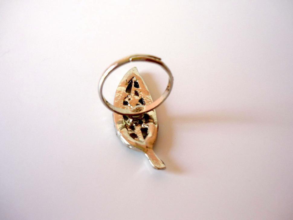 Free Image of Gold Ring With Slice of Pizza 