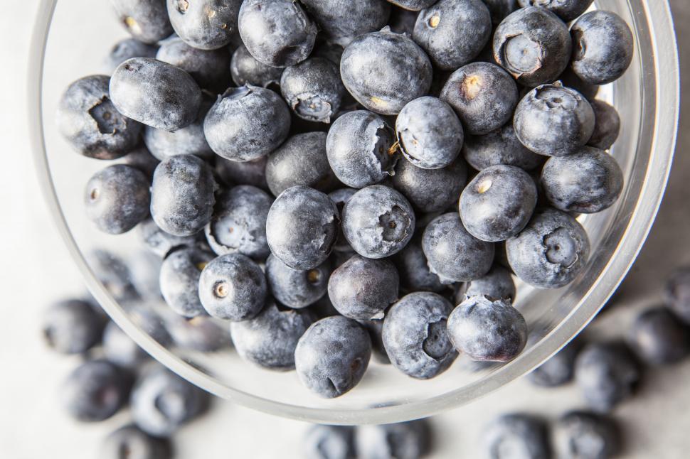 Free Image of Blueberries Free Stock Photo 