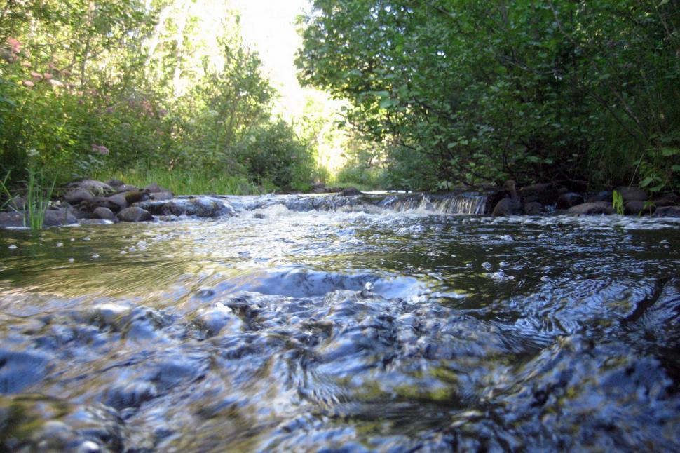 Free Image of River Flowing Through Lush Green Forest 