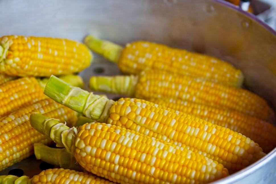 Free Image of A close up of food 