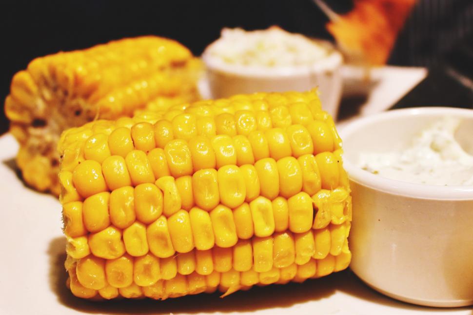 Free Image of A close up of food 