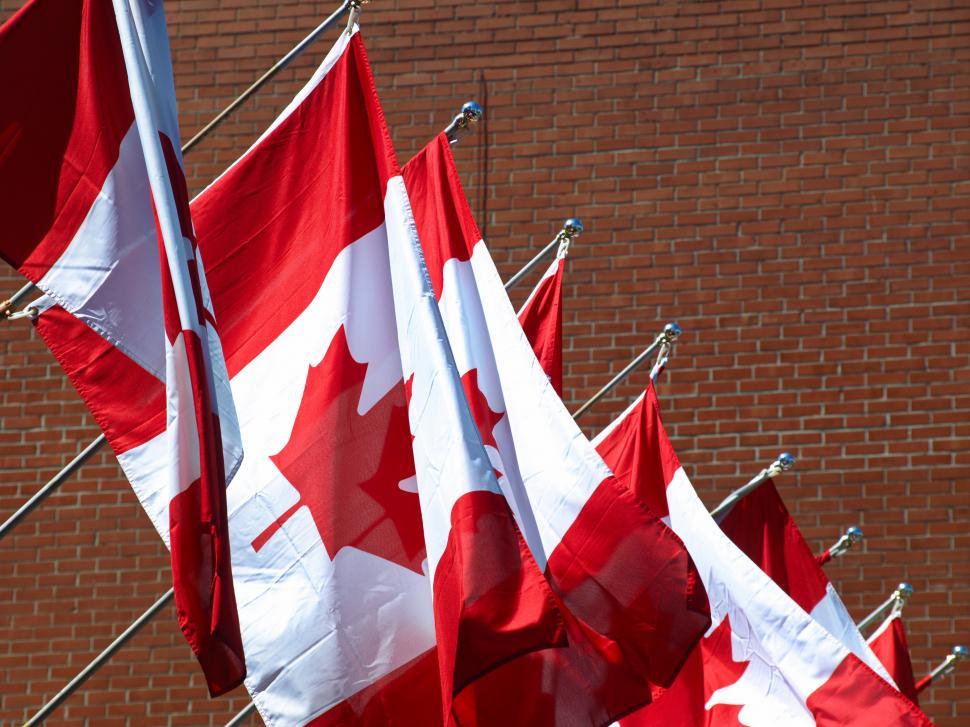 Free Image of A group of flags on poles 