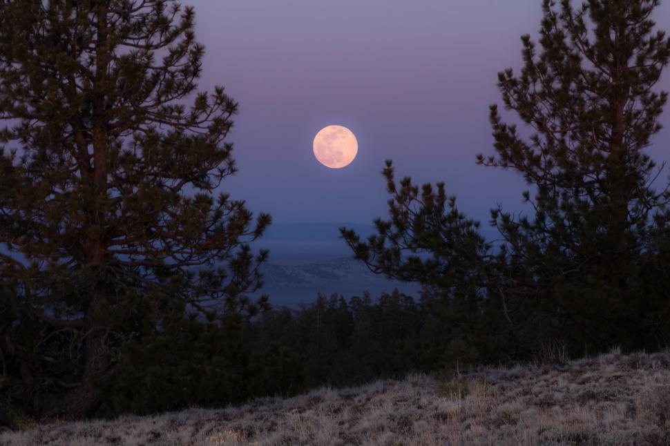 Free Image of A moon in the sky 