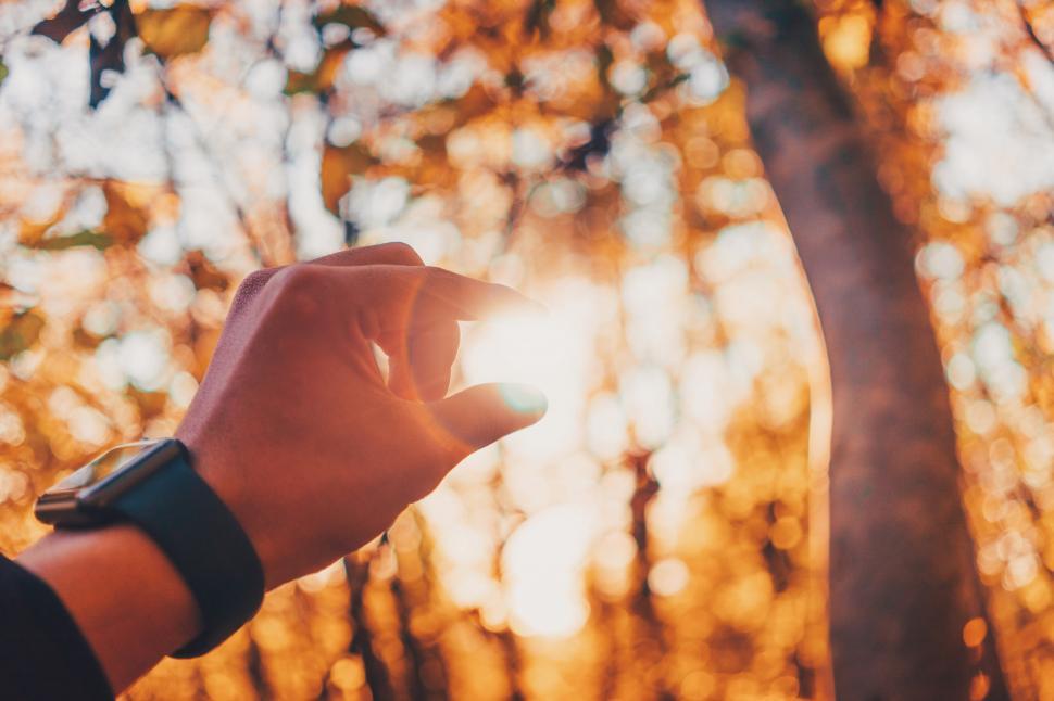 Free Image of A hand holding a small light 