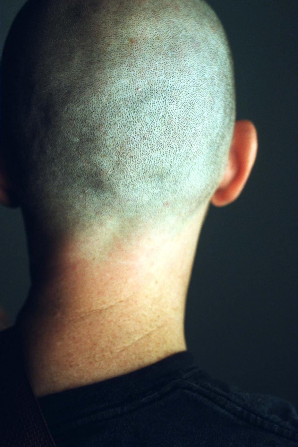 Free Image of Back of a man's head - nearly shaved head 