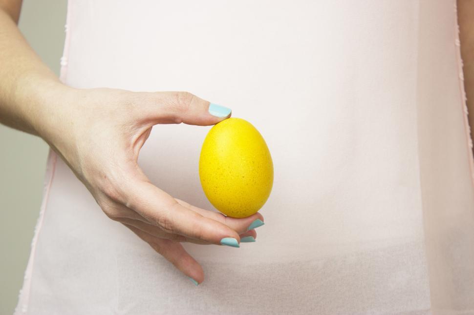 Free Image of A hand holding a yellow egg 