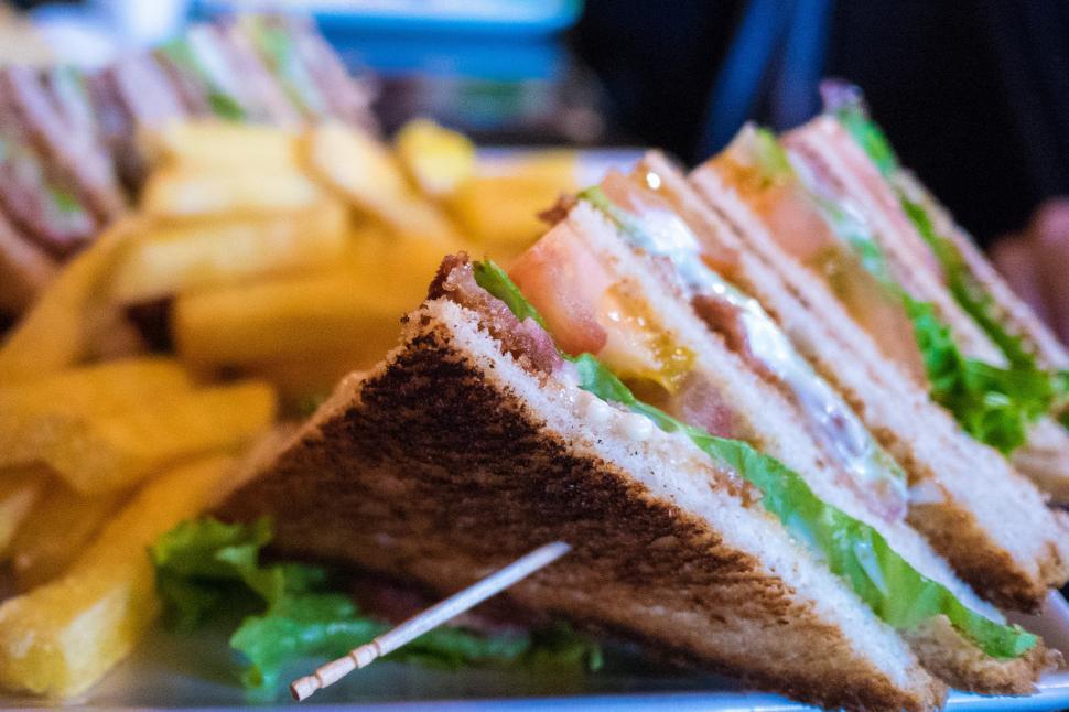 Free Image of A close up of a sandwich 