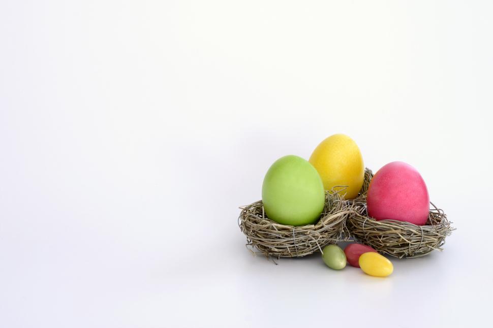 Free Image of A group of eggs in a nest 
