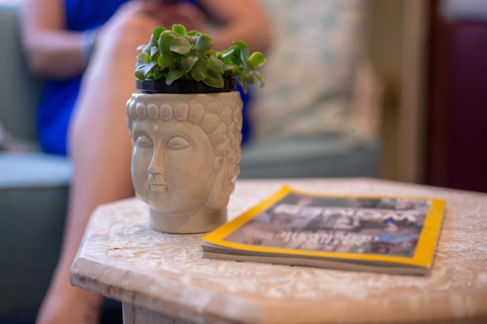 Free Image of A plant in a pot on a table 