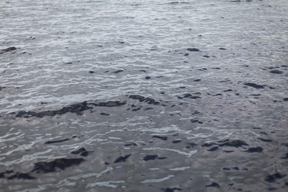 Free Image of A close up of water 