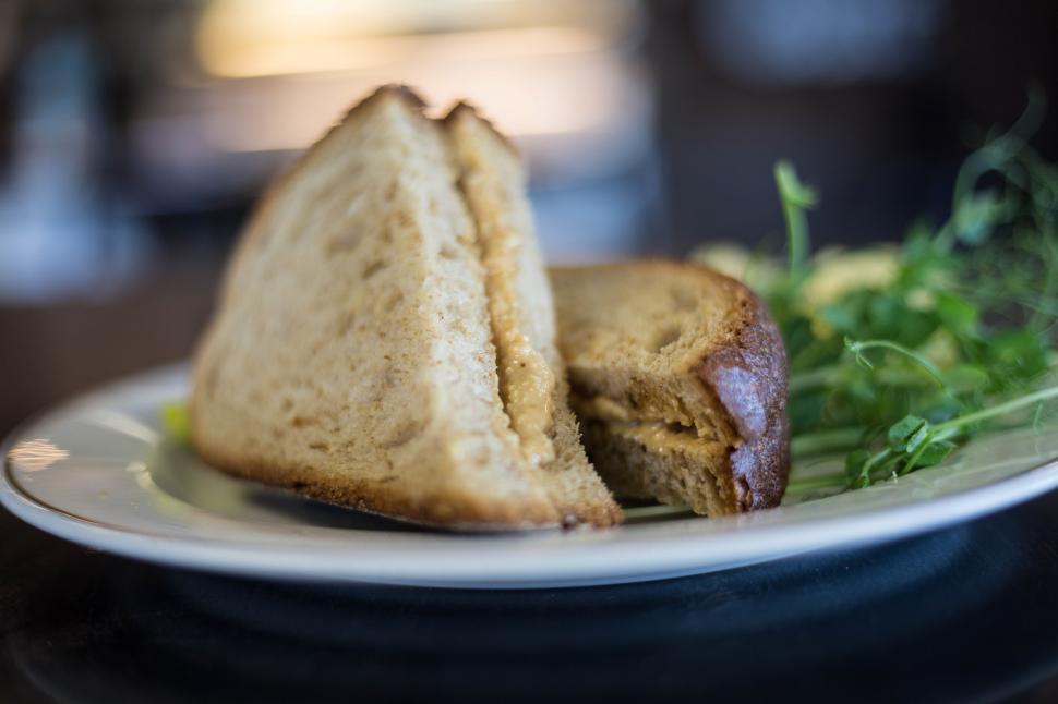 Free Image of A sandwich on a plate 