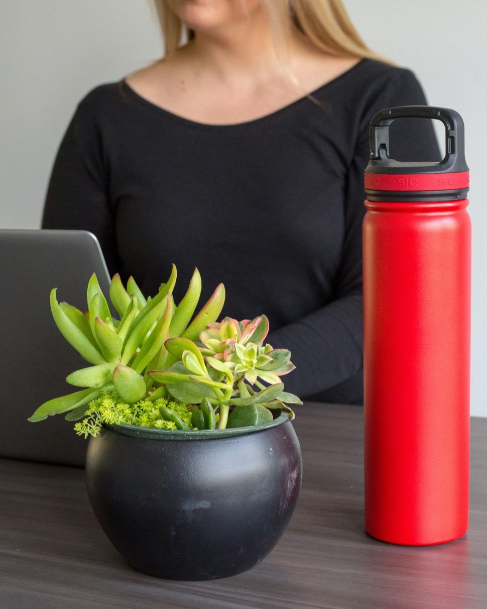 Free Image of A woman sitting at a table with a plant in a pot 