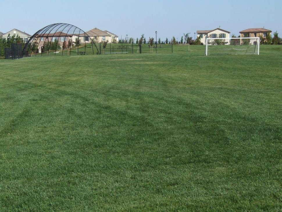 Free Image of Recreation Open Space 