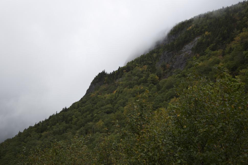 Free Image of A mountain with trees and fog 