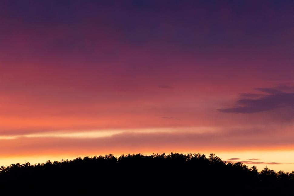 Free Image of A silhouette of trees against a sunset 