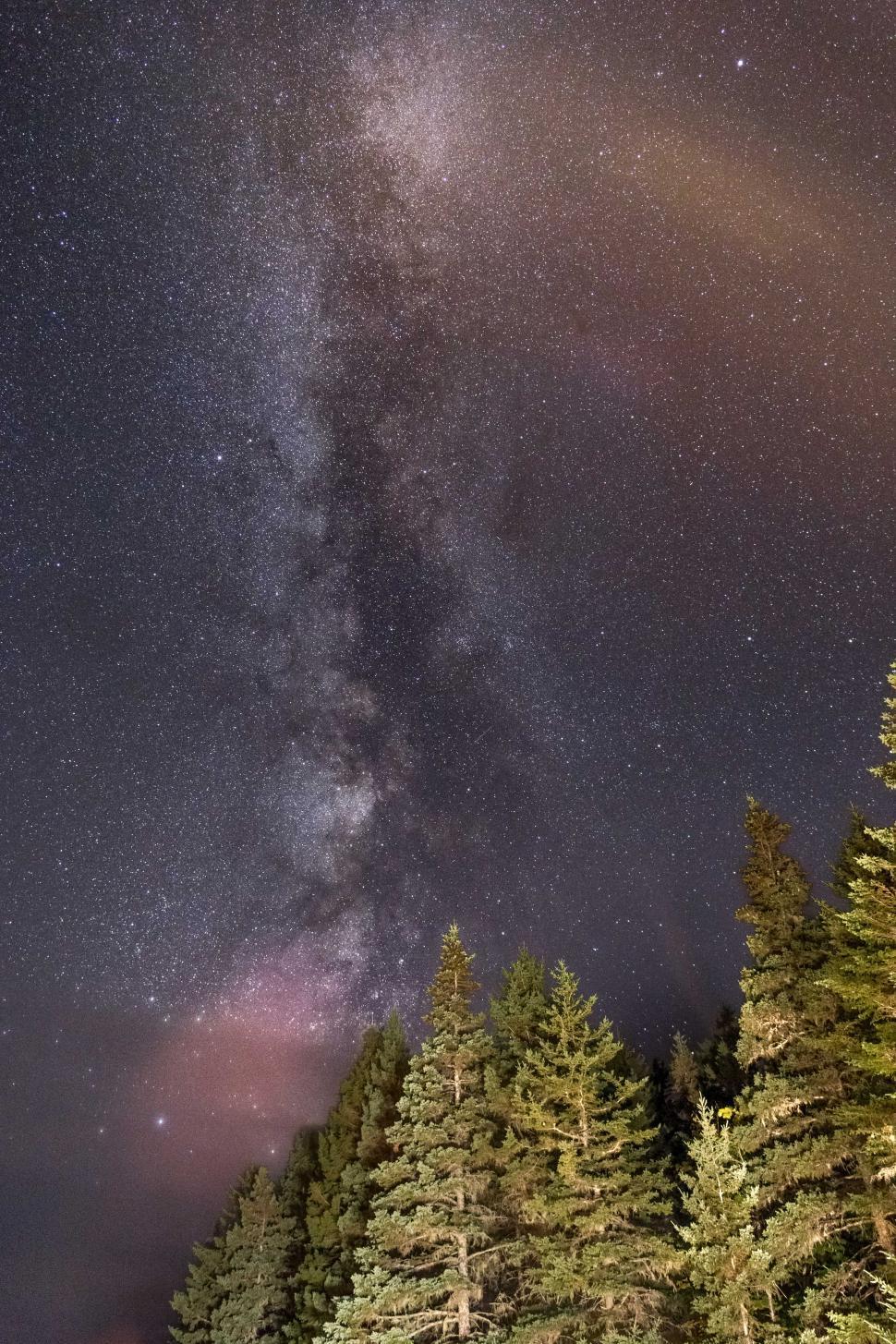 Free Image of A starry sky above trees 