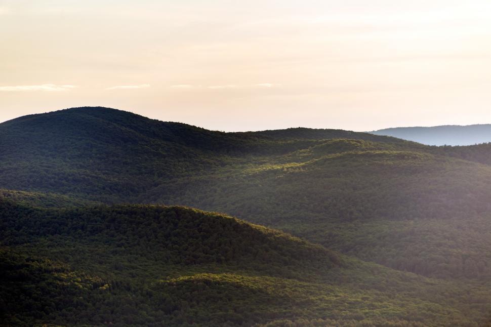 Free Image of A green hills with trees 