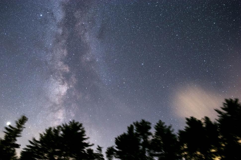 Free Image of A starry sky with trees 