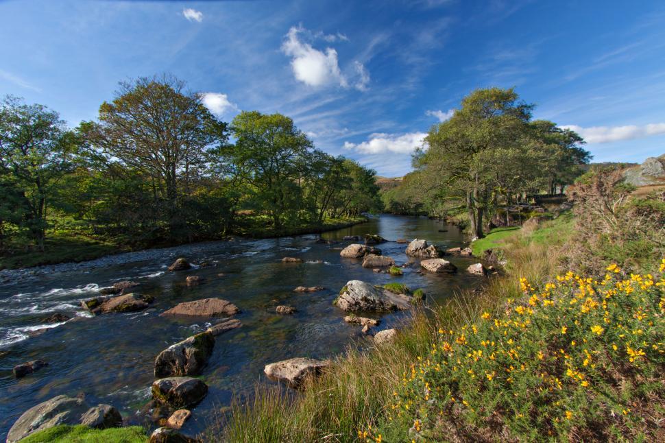 Free Image of A river with rocks and trees 