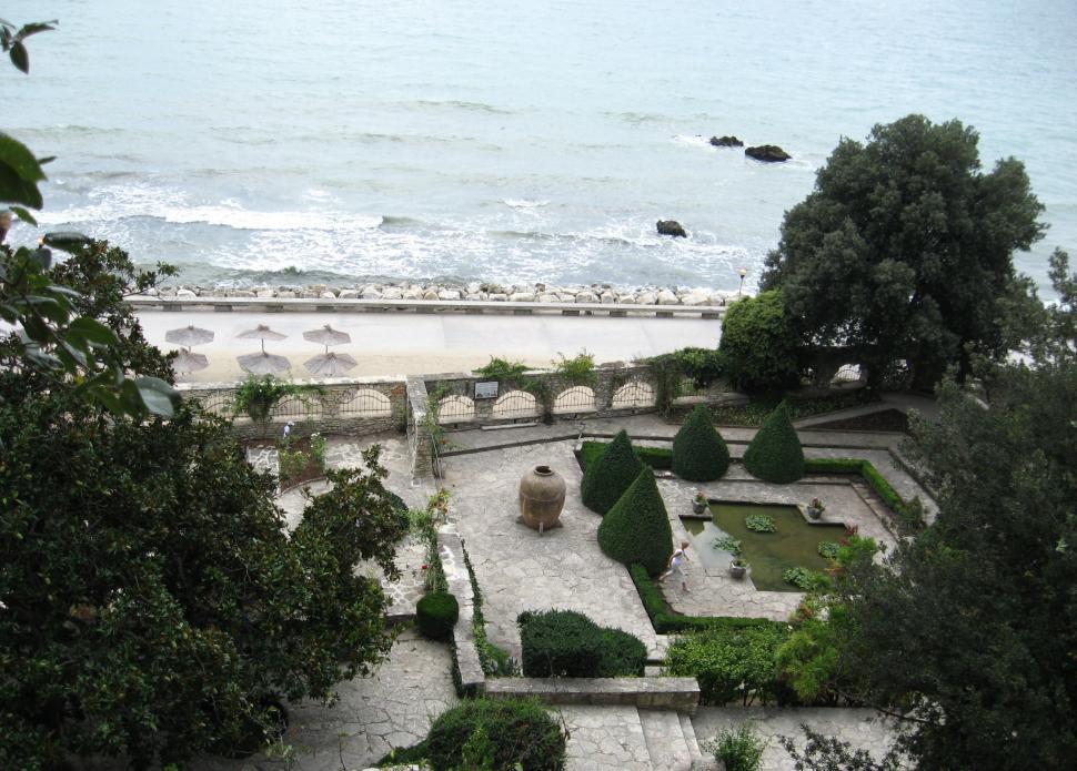 Free Image of Small garden with water ponds and lush vegetation 