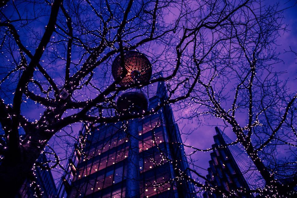 Free Image of A tree branches with lights around it 