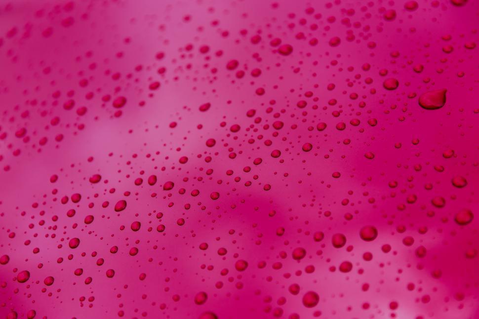 Free Image of Water droplets on a pink surface 