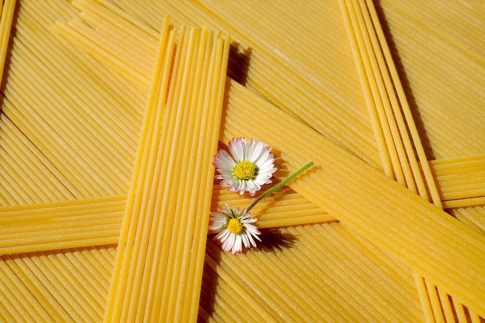 Free Image of Raw Spaghetti Free Stock Photo 