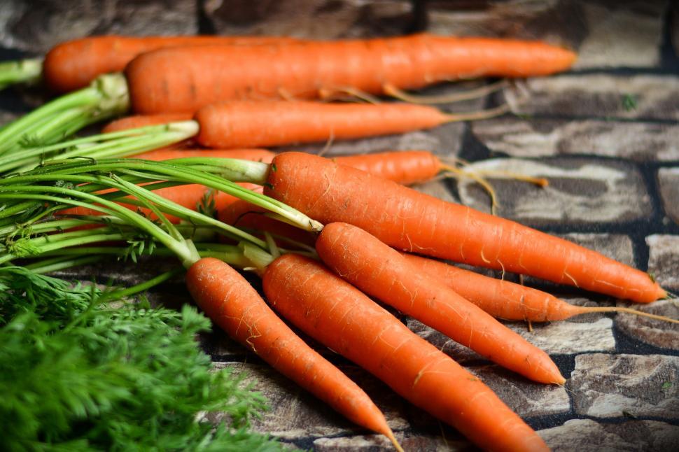 Free Image of A group of carrots with green stems 