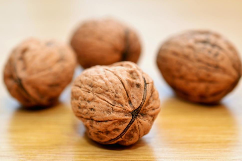Free Image of Walnuts Free Stock Photo 